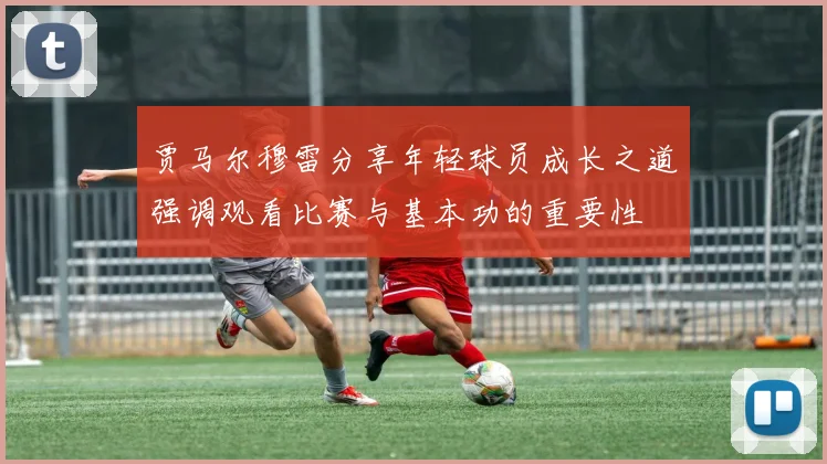 贾马尔穆雷分享年轻球员成长之道强调观看比赛与基本功的重要性