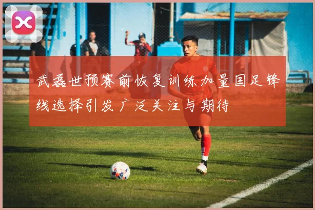 武磊世预赛前恢复训练加量国足锋线选择引发广泛关注与期待